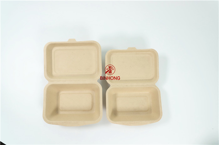 箱の生物分解性のCompostable包むサトウキビのDesechablesのファースト・フード